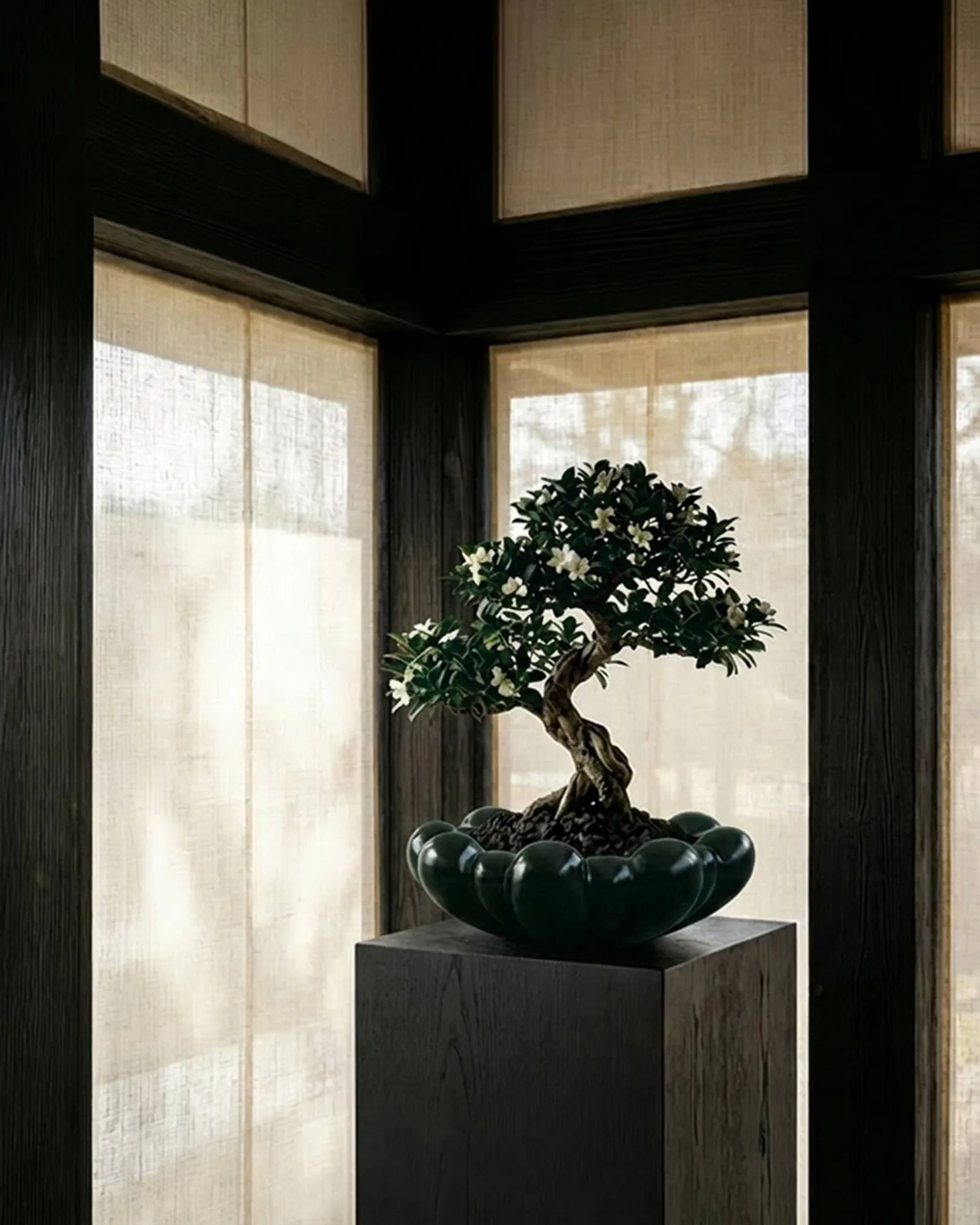 Cuenco grande Bloom tray, Dark green 101 Copenhagen