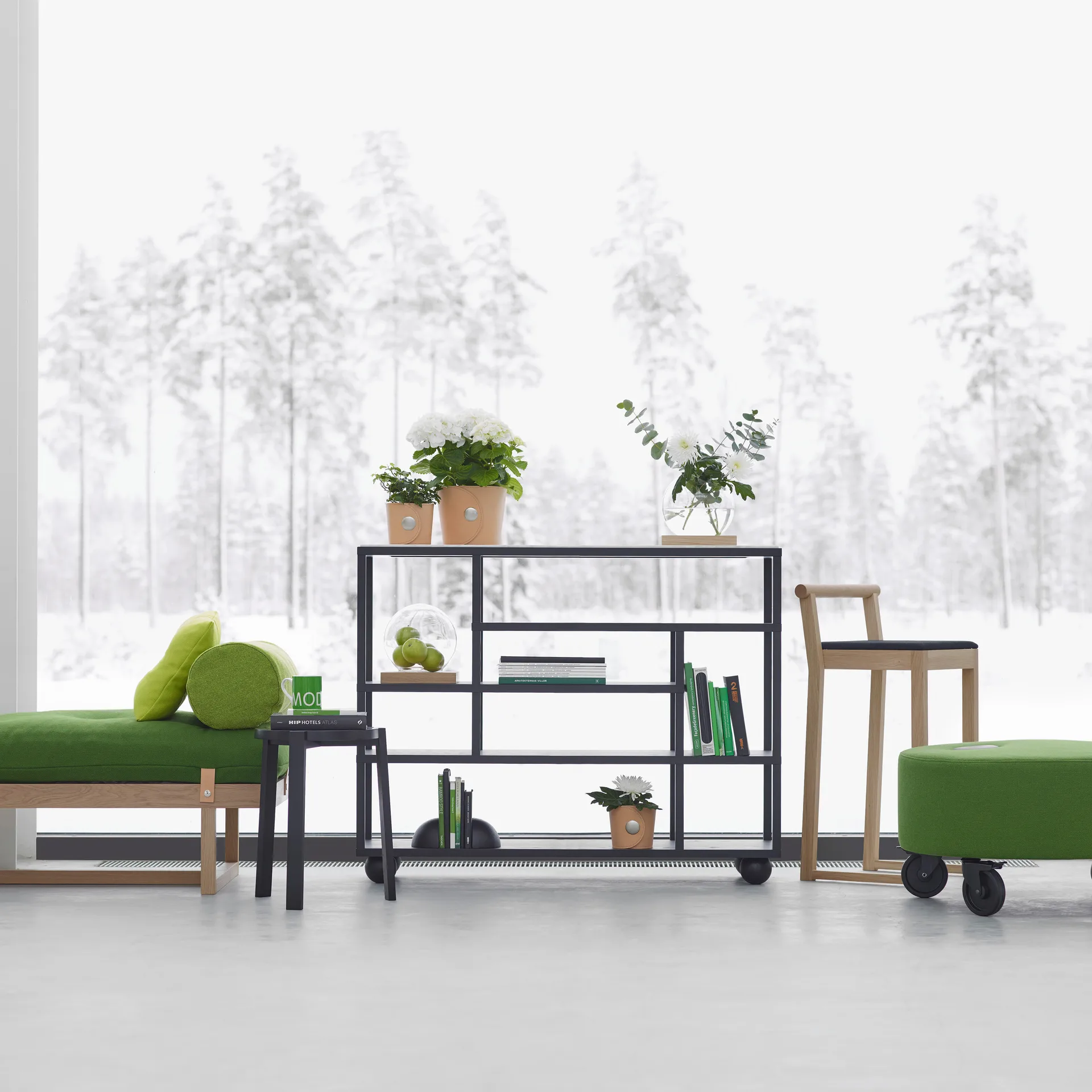 Estantería Show, roble teñido de negro A2