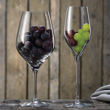 2 Copas de vino tino Passion connoisseur 64,5 cl - set de 2 - Aida