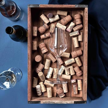 4 Copas de vino blanco Connoisseur Extravagant 40,5 cl - Clear - Aida