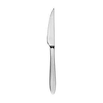 Cuchillo de carne Gastro - Acero inoxidable - Aida