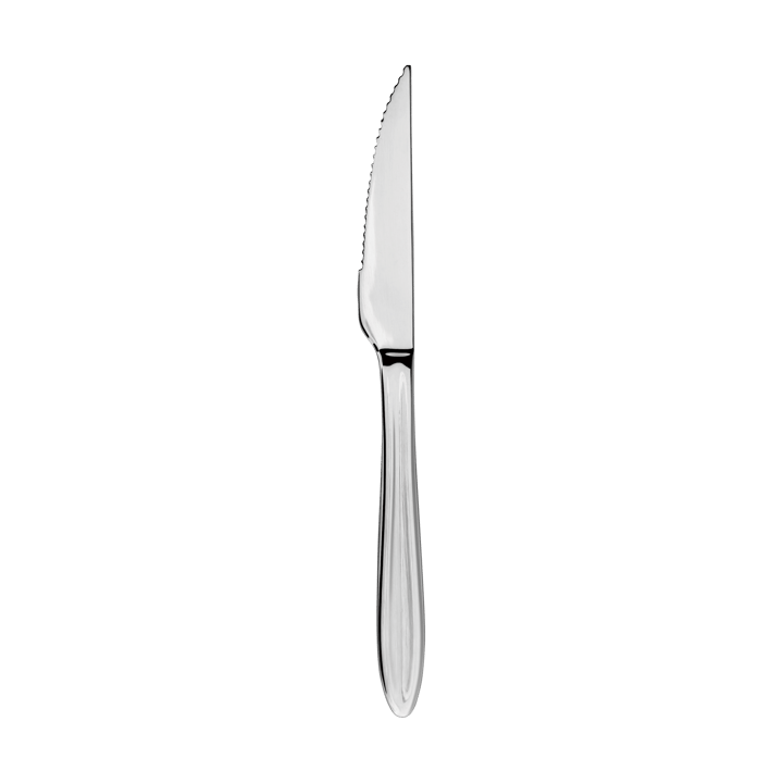 Cuchillo de carne Gastro - Acero inoxidable - Aida