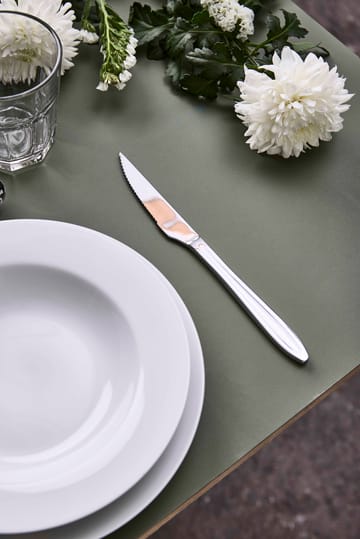 Cuchillo de carne Gastro - Acero inoxidable - Aida