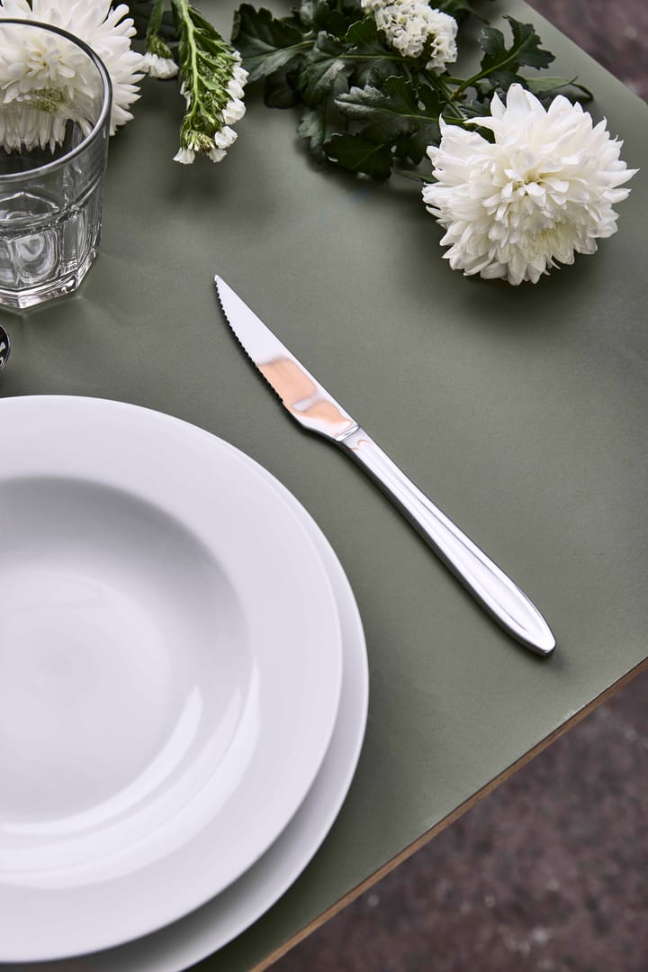 Cuchillo de carne Gastro, Acero inoxidable Aida