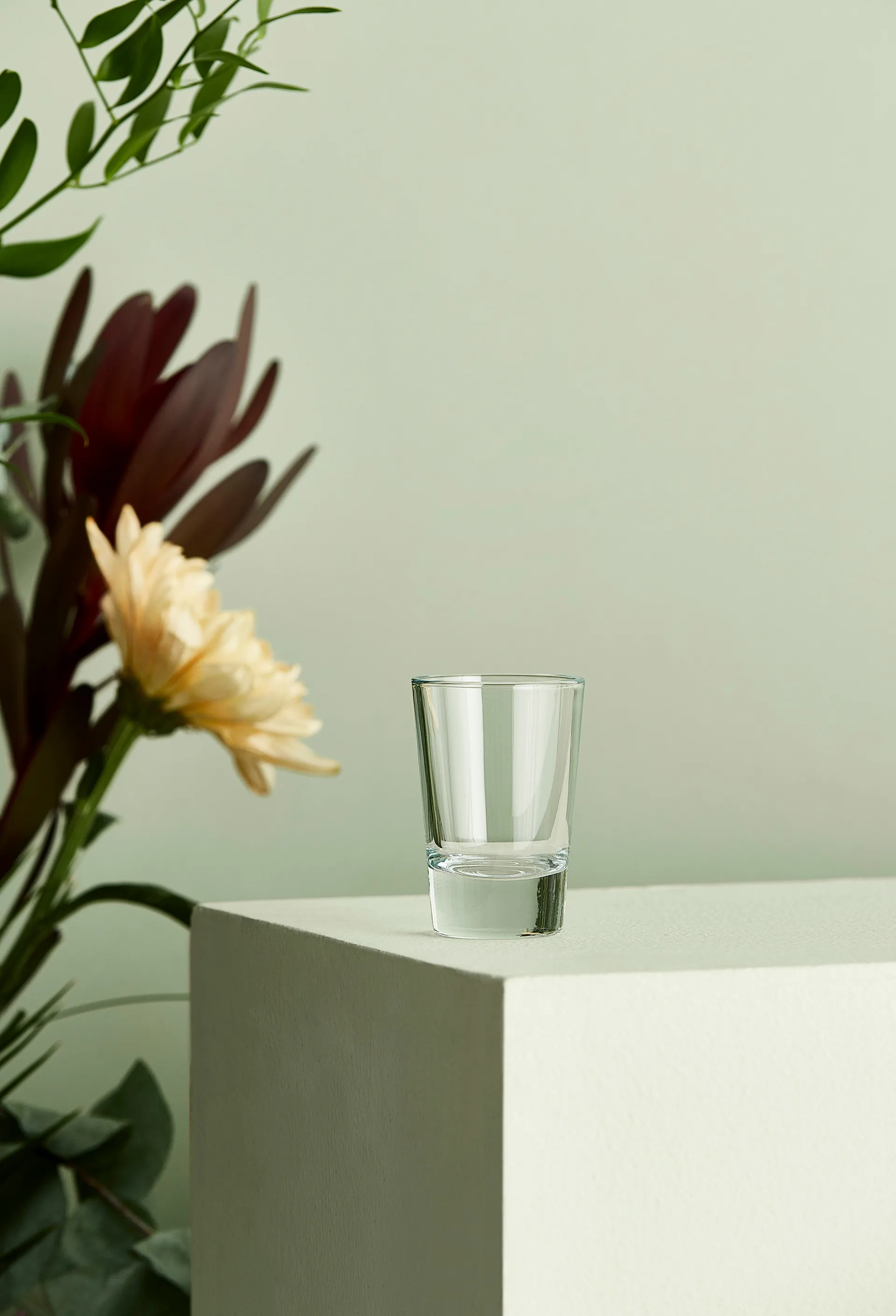 Vasos de aguardiente Café 6,2 cl, transparente Aida