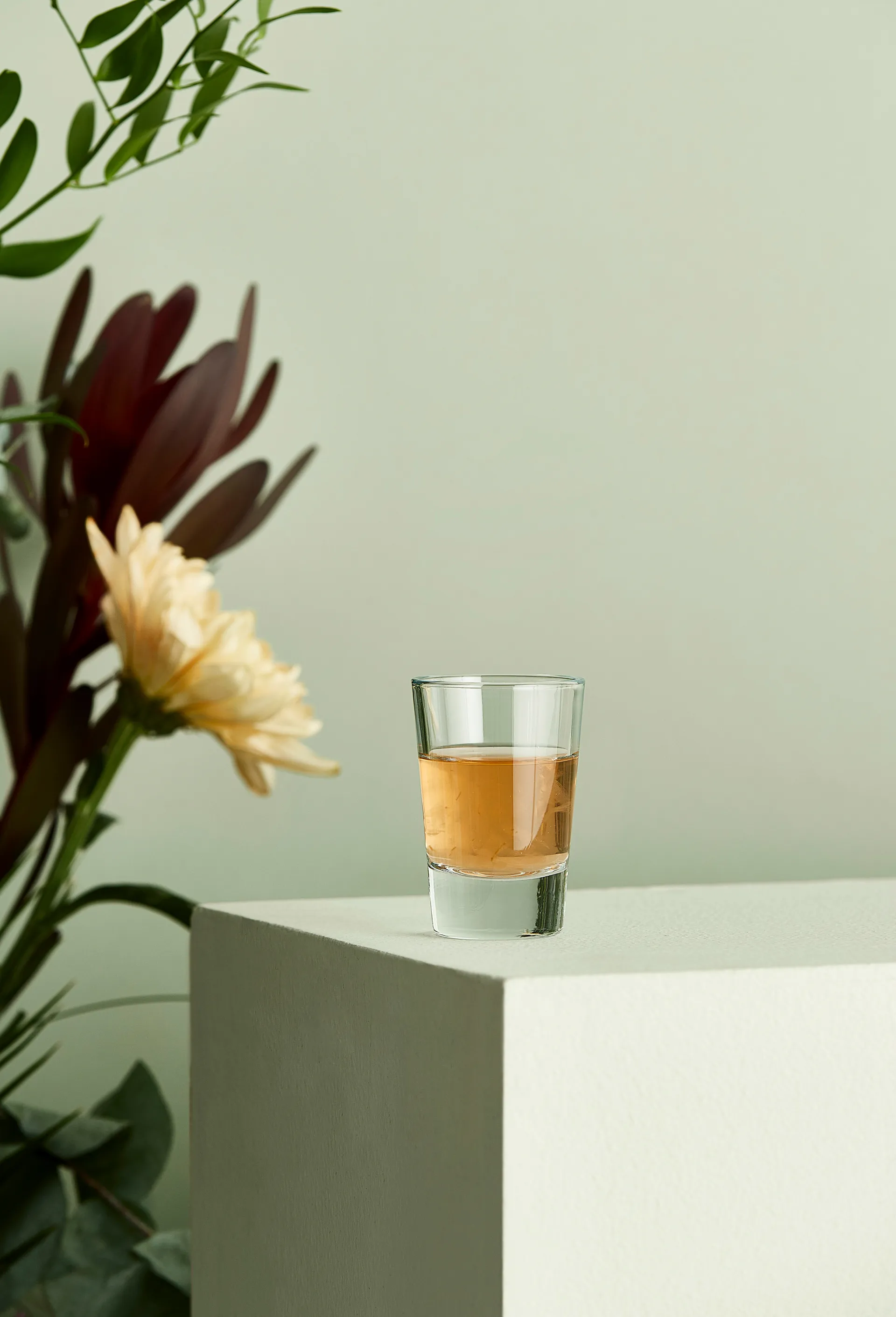 Vasos de aguardiente Café 6,2 cl, transparente Aida