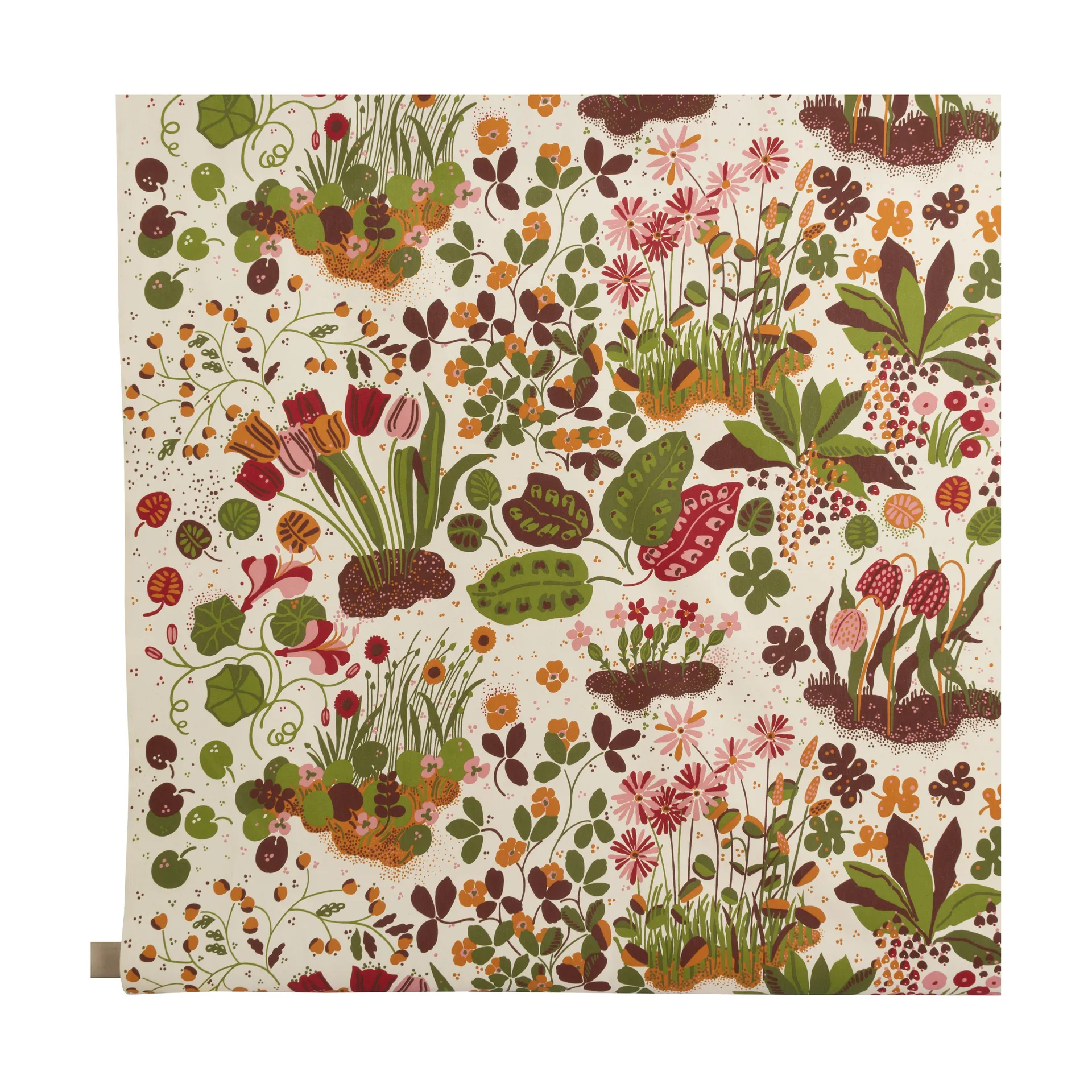 Tela Ailanthus, Multi Almedahls