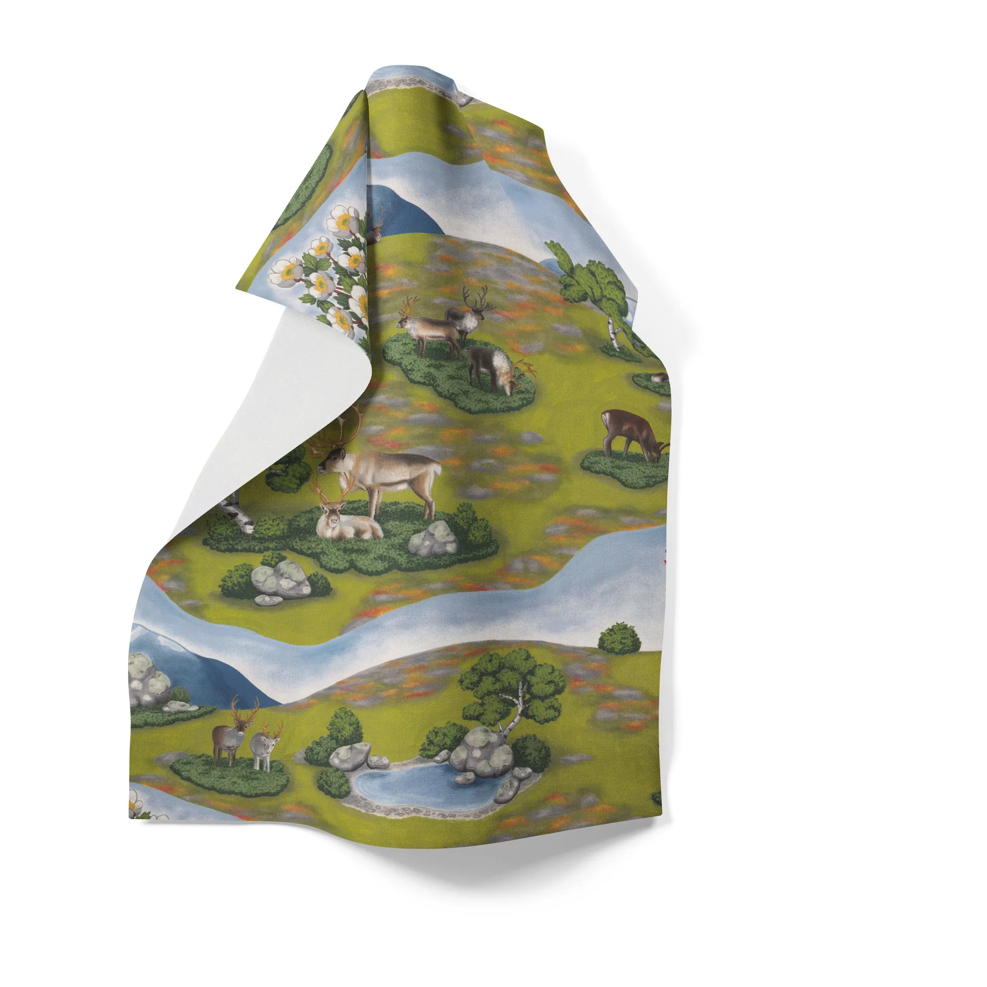 Paño de cocina Renvandring 65x85 cm, Verde Arvidssons Textil