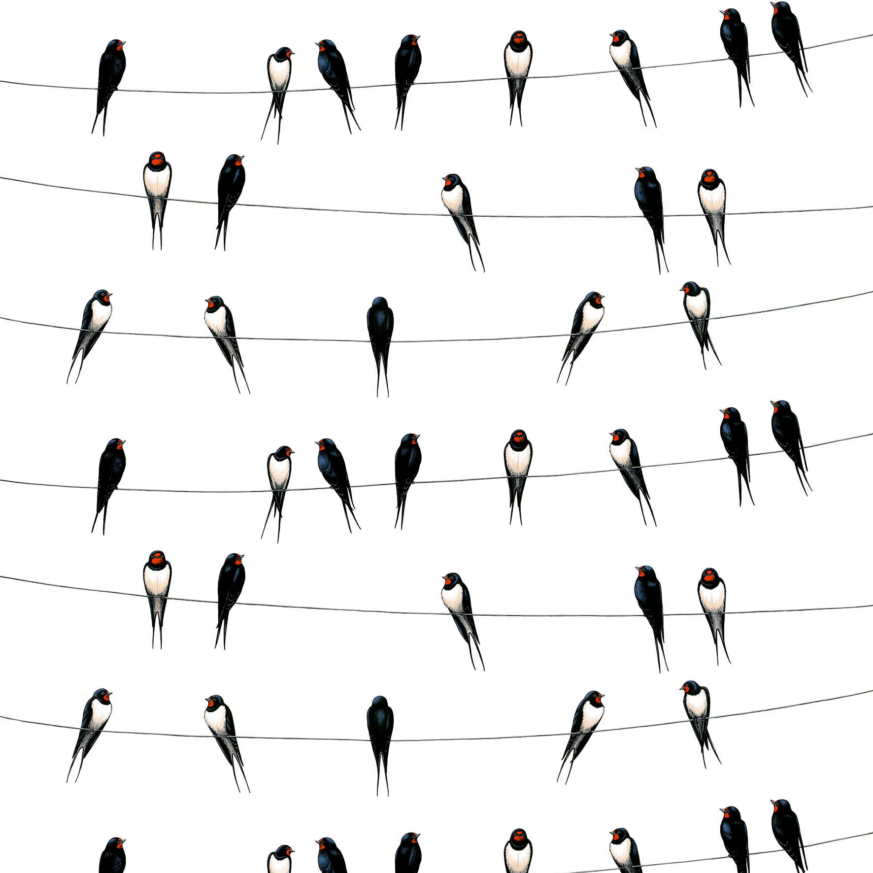 Tela Ladusvalor, blanco Arvidssons Textil