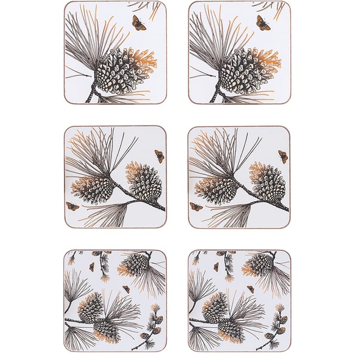 6 Posavasos Pine Cone - Cotton white - Åry Home