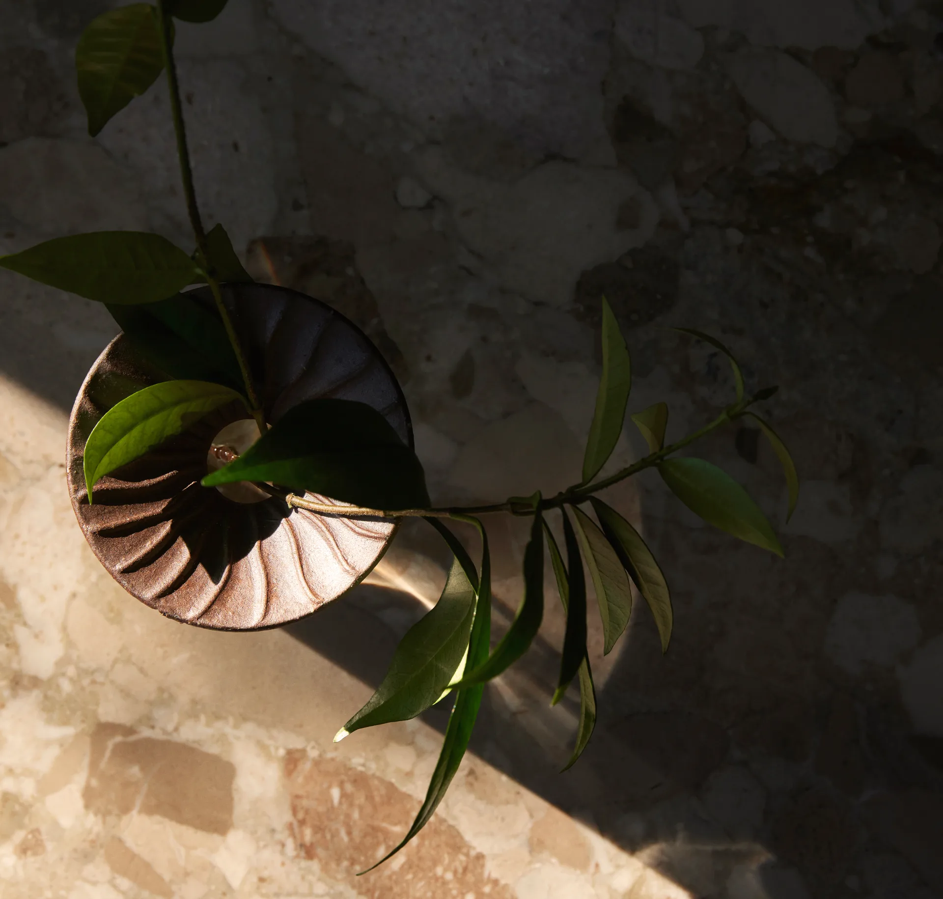 Jarrón Cresco Propagation 2 piezas, Marrón-transparente Audo Copenhagen