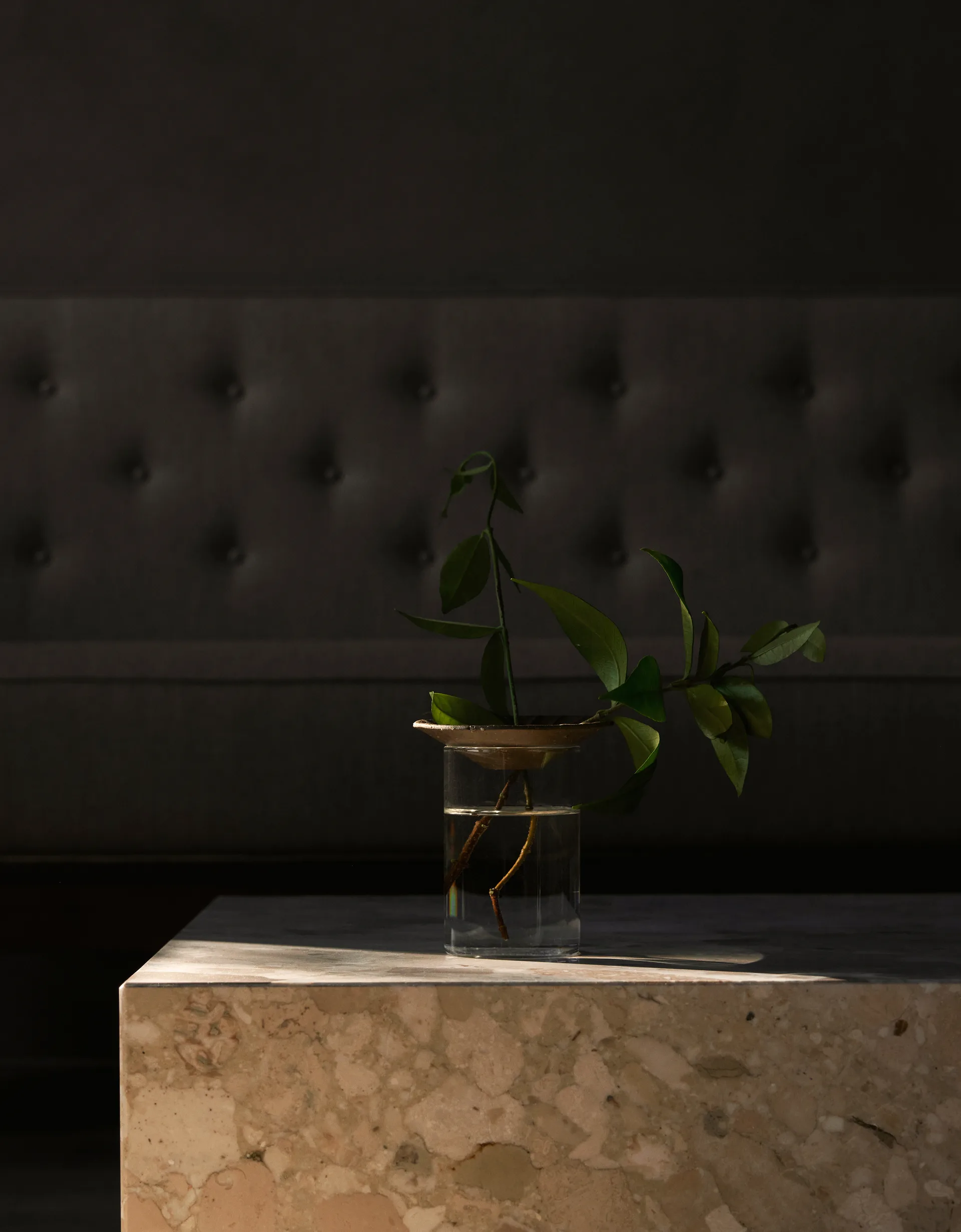 Jarrón Cresco Propagation 2 piezas, Marrón-transparente Audo Copenhagen