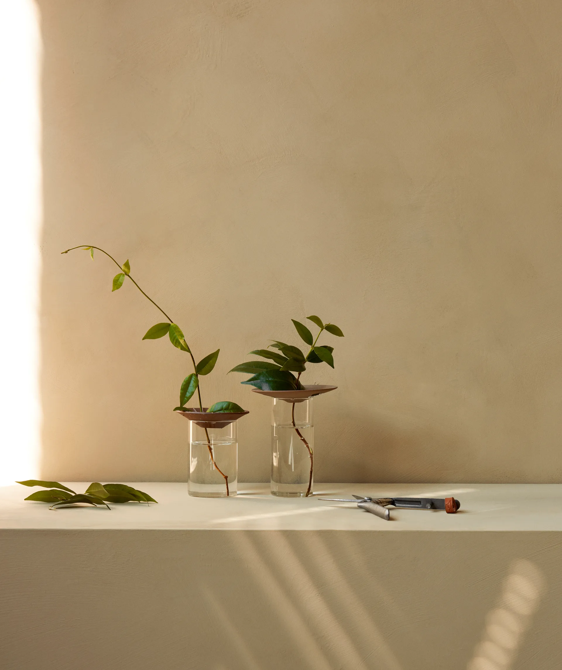 Jarrón Cresco Propagation 2 piezas, Marrón-transparente Audo Copenhagen