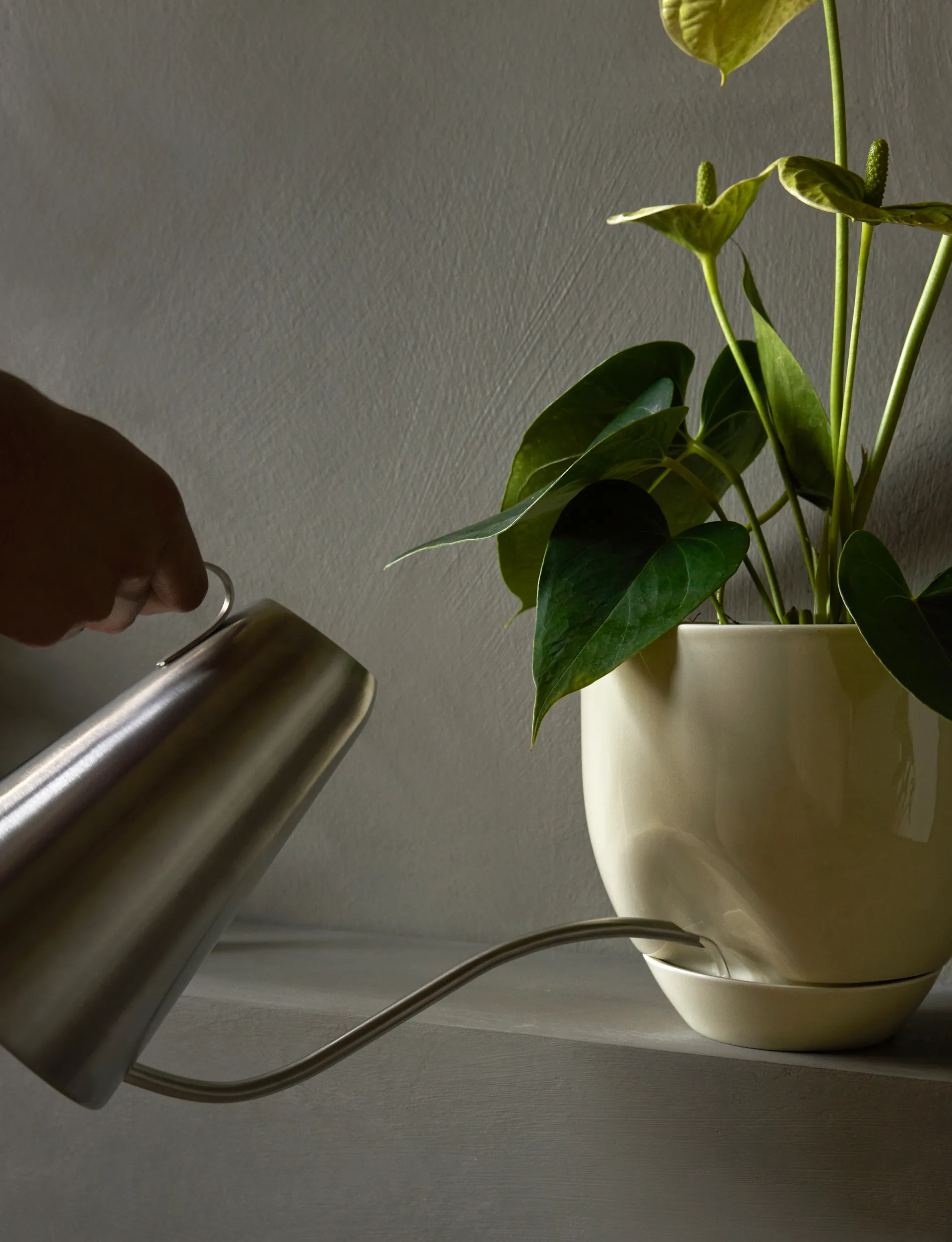 Maceta Hydrous Ø20 cm, Ashen Audo Copenhagen