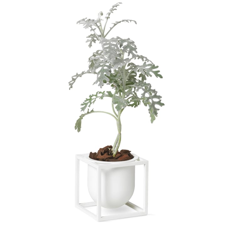 Maceta Kubus 10 cm, blanco Audo Copenhagen