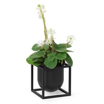 Maceta Kubus 10 cm - negro - Audo Copenhagen