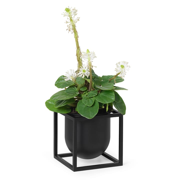 Maceta Kubus 10 cm, negro Audo Copenhagen