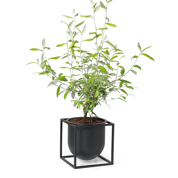 Maceta Kubus 14 cm, negro Audo Copenhagen