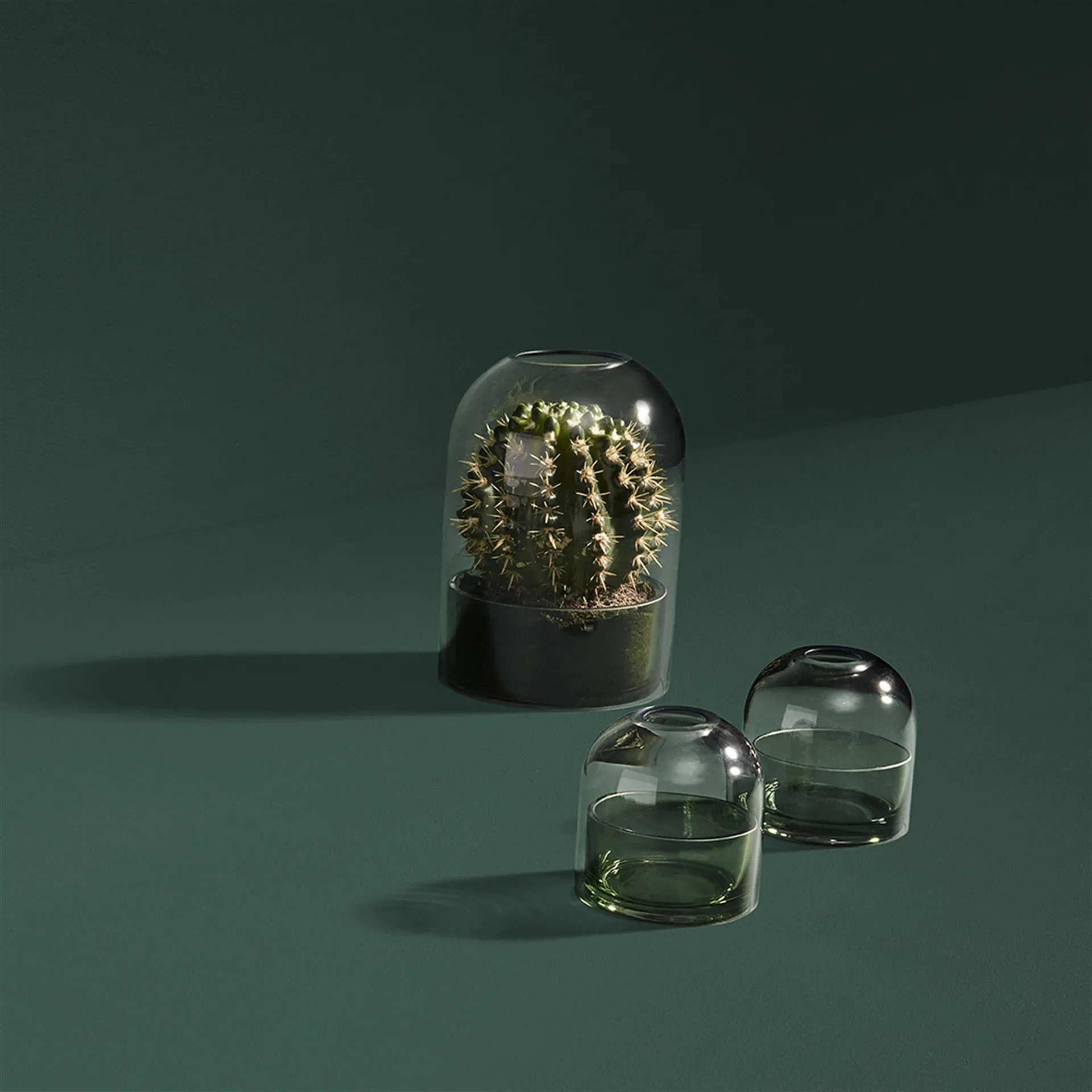 Farol Tota, verde AYTM