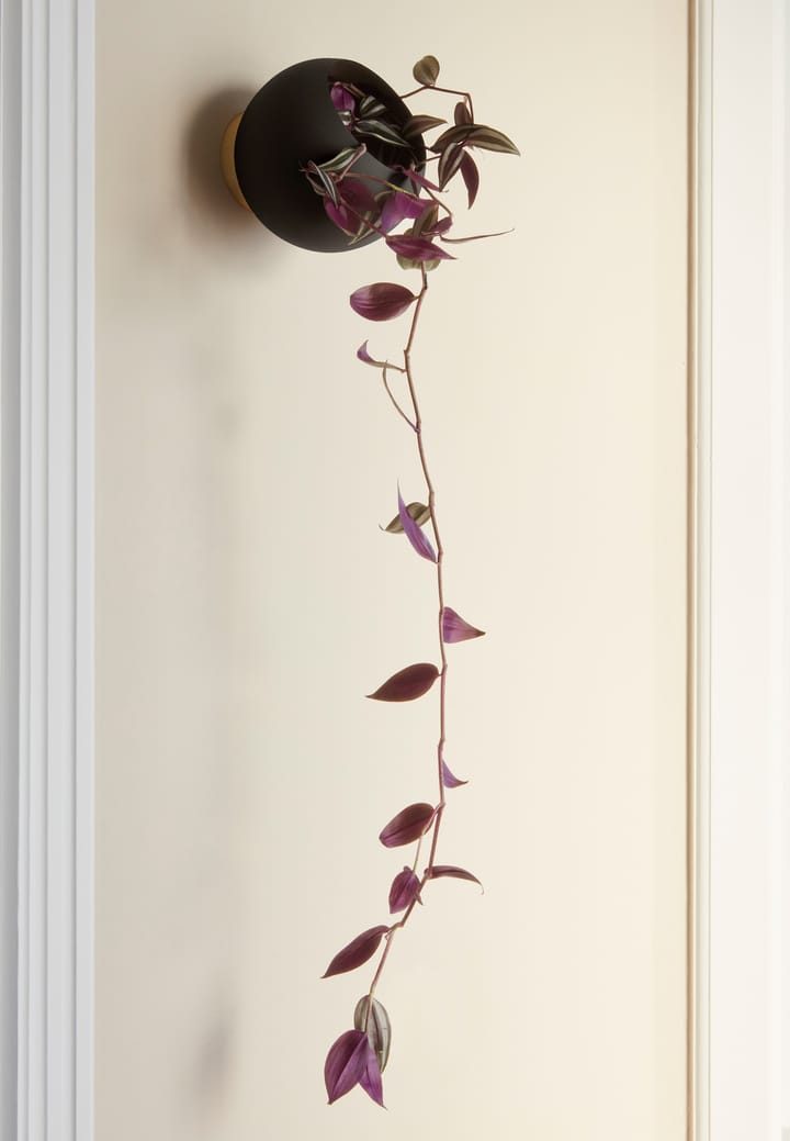 Maceta de pared Globe Ø17 cm, Black AYTM