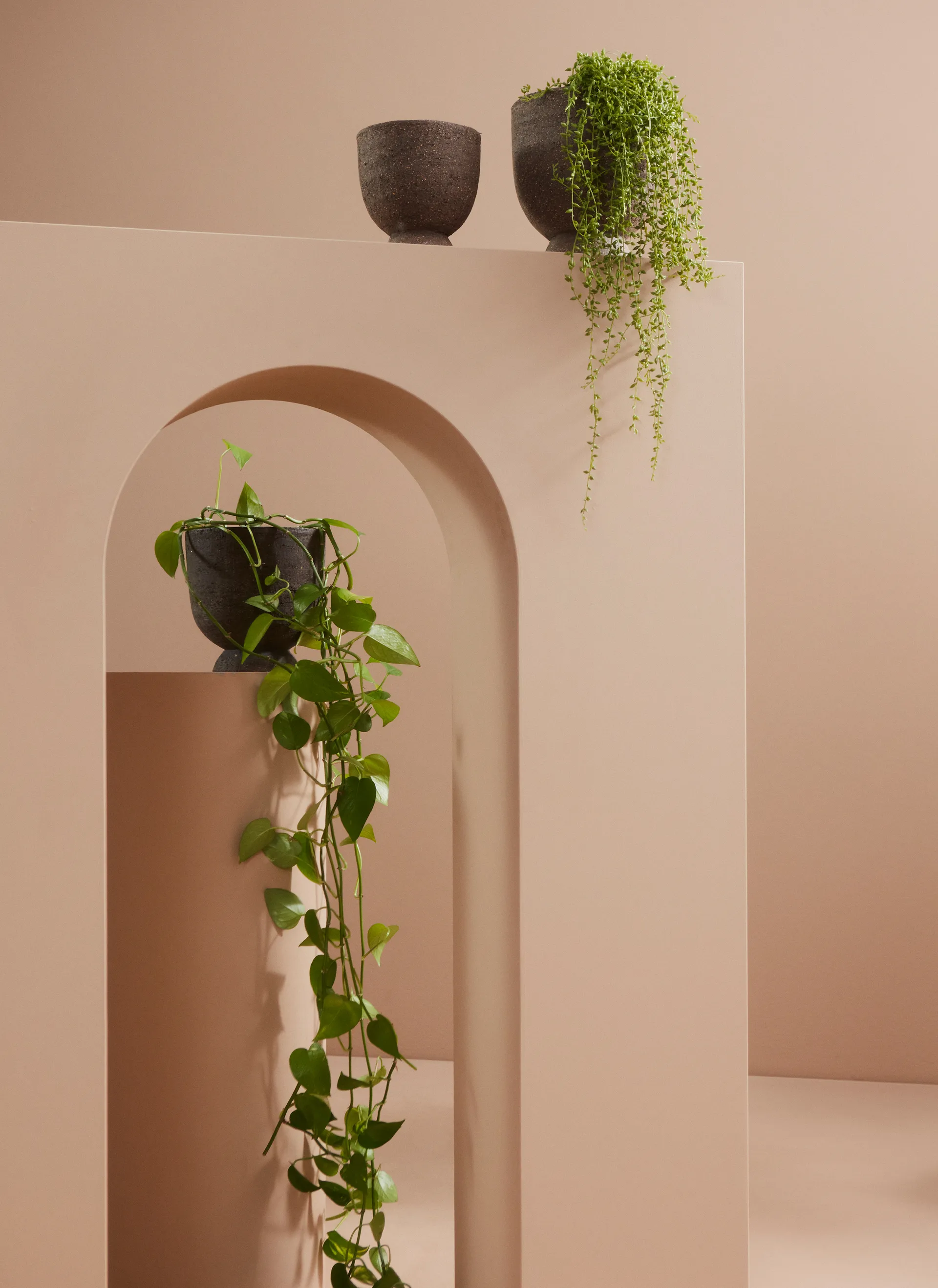 Maceta-Jarrón Terra Ø20 cm, Java brown AYTM