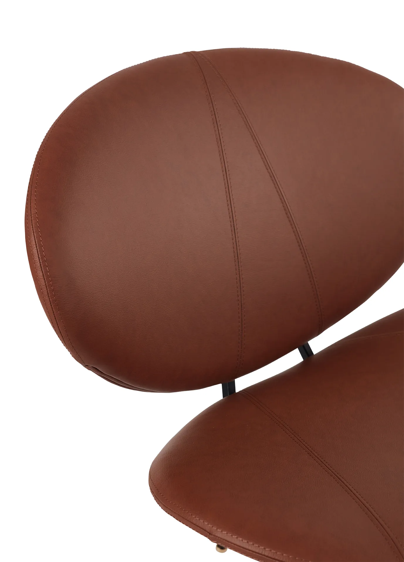 Silla lounge Semper, Black-cognac AYTM