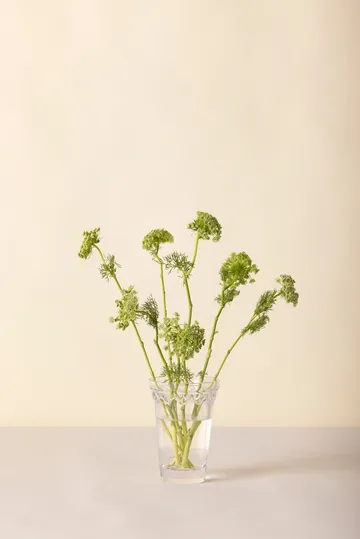 Jarrón Copenhague - Transparente, 18,5 cm - Bergs Potter