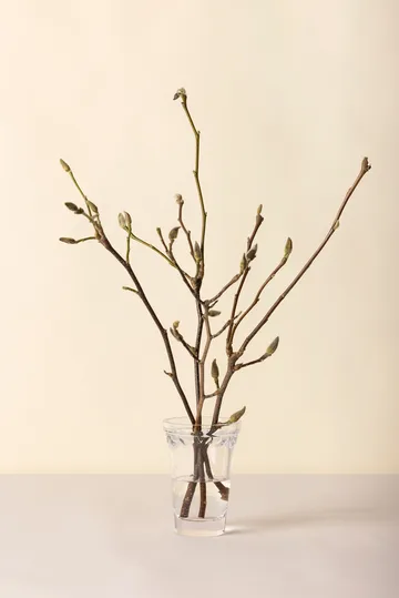 Jarrón Copenhague - Transparente, 18,5 cm - Bergs Potter