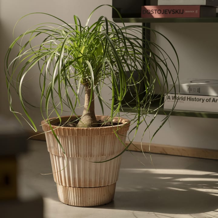 Maceta Atlas raw, Rosa, Ø18 cm Bergs Potter