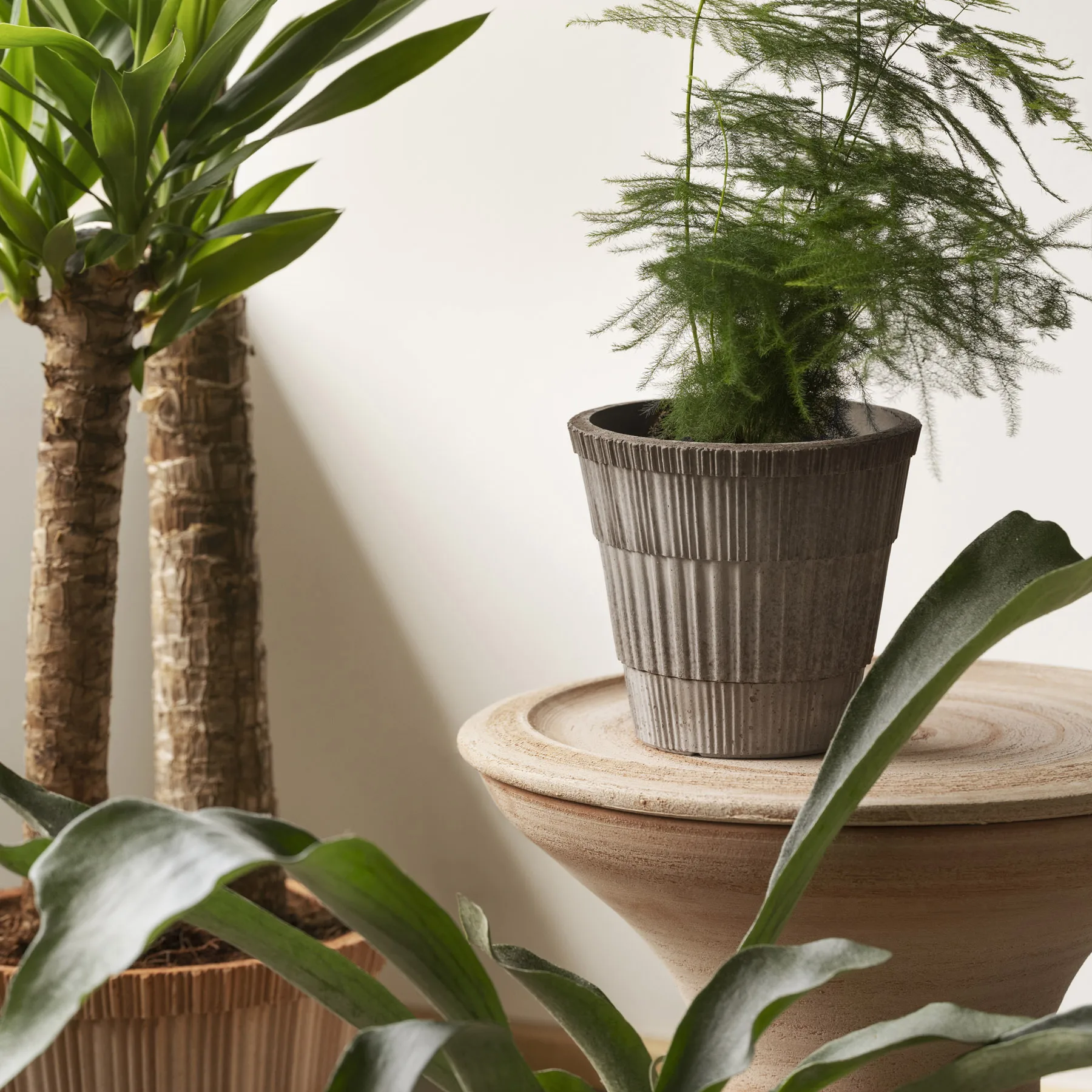 Maceta con plato Atlas raw, Grey, Ø16 cm Bergs Potter