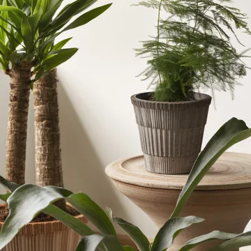 Maceta con plato Atlas raw - Grey, Ø18 cm - Bergs Potter