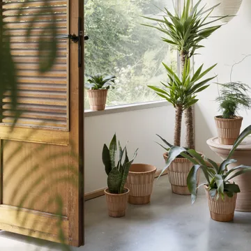 Maceta con plato Atlas raw - Rosa, Ø16 cm - Bergs Potter