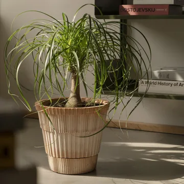 Maceta con plato Atlas raw - Rosa, Ø25 cm - Bergs Potter