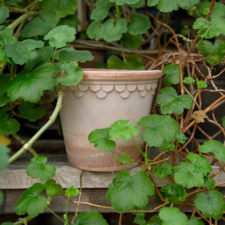Maceta Copenhagen Ø16 cm, Rosa Bergs Potter