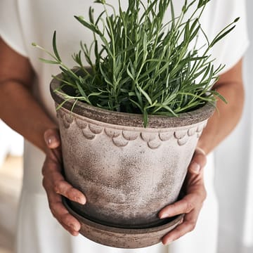 Maceta Copenhagen 21 cm - gris - Bergs Potter