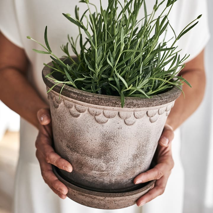 Maceta Copenhagen 21 cm, gris Bergs Potter