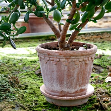 Maceta Copenhagen 21 cm - Rosa - Bergs Potter