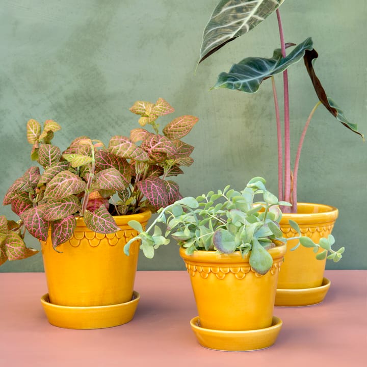 Maceta Copenhagen esmaltada Ø18 cm, amarillo Bergs Potter