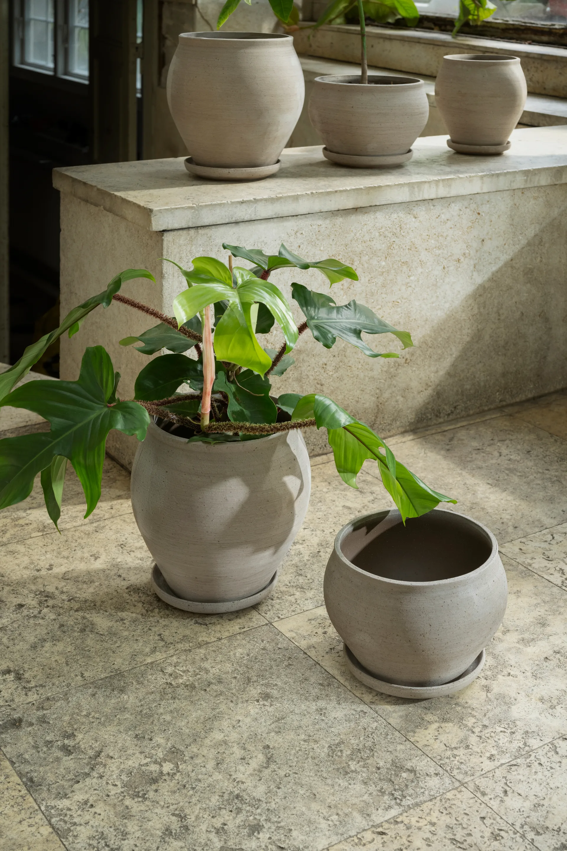 Maceta Delphi con plato, 2 piezas, Gris, Ø22 cm, alto Bergs Potter