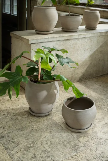 Maceta Delphi con plato, 2 piezas - Gris, Ø22 cm, alto - Bergs Potter