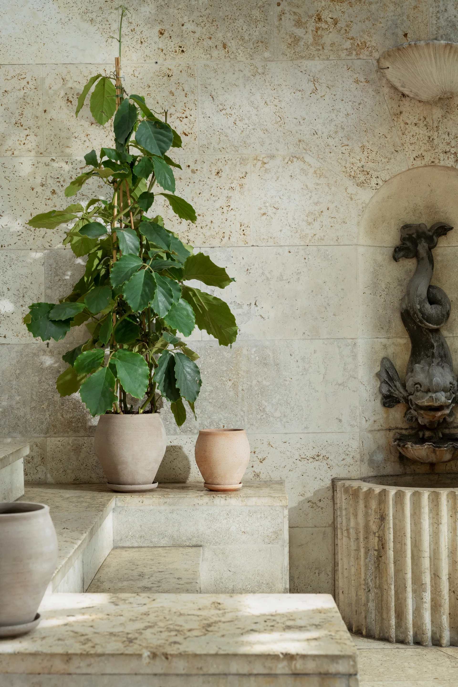 Maceta Delphi con plato, 2 piezas, Gris, Ø22 cm, alto Bergs Potter