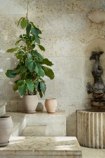 Maceta Delphi con plato, 2 piezas - Gris, Ø22 cm, alto - Bergs Potter