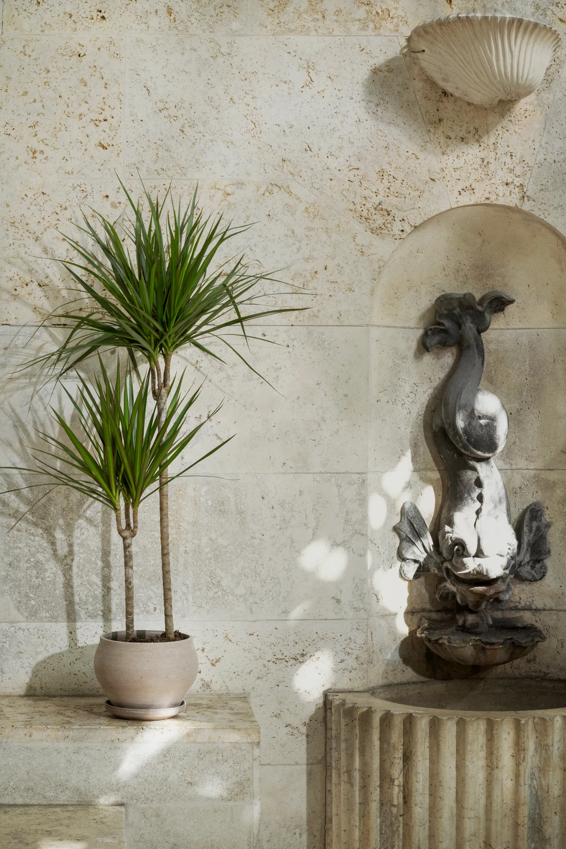 Maceta Delphi con plato, 2 piezas, Gris, Ø24 cm, baja Bergs Potter