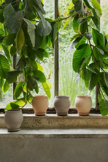 Maceta Delphi con plato, 2 piezas - Rosa, Ø20 cm - Bergs Potter