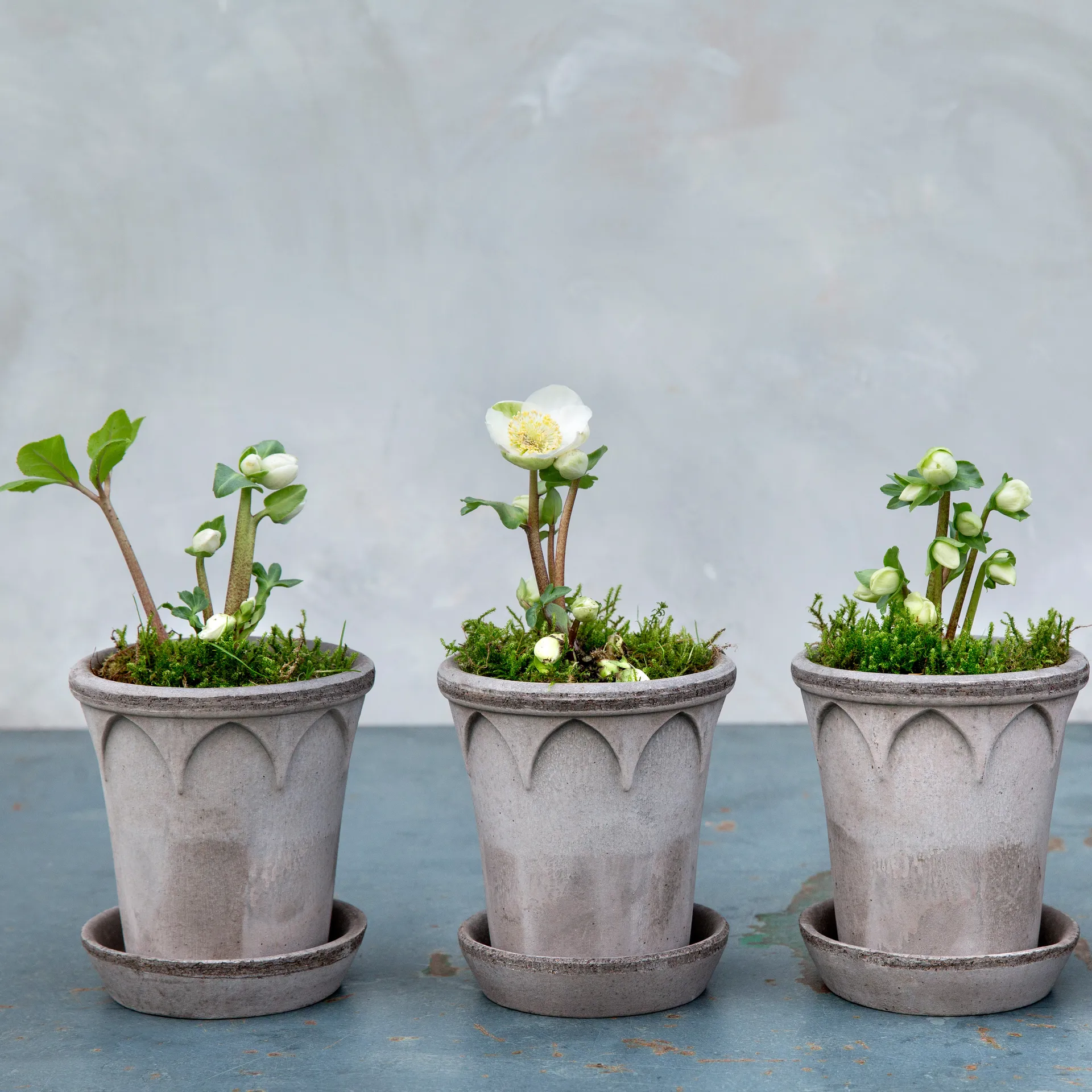 Maceta Elizabeth Ø12 cm, Grey Bergs Potter