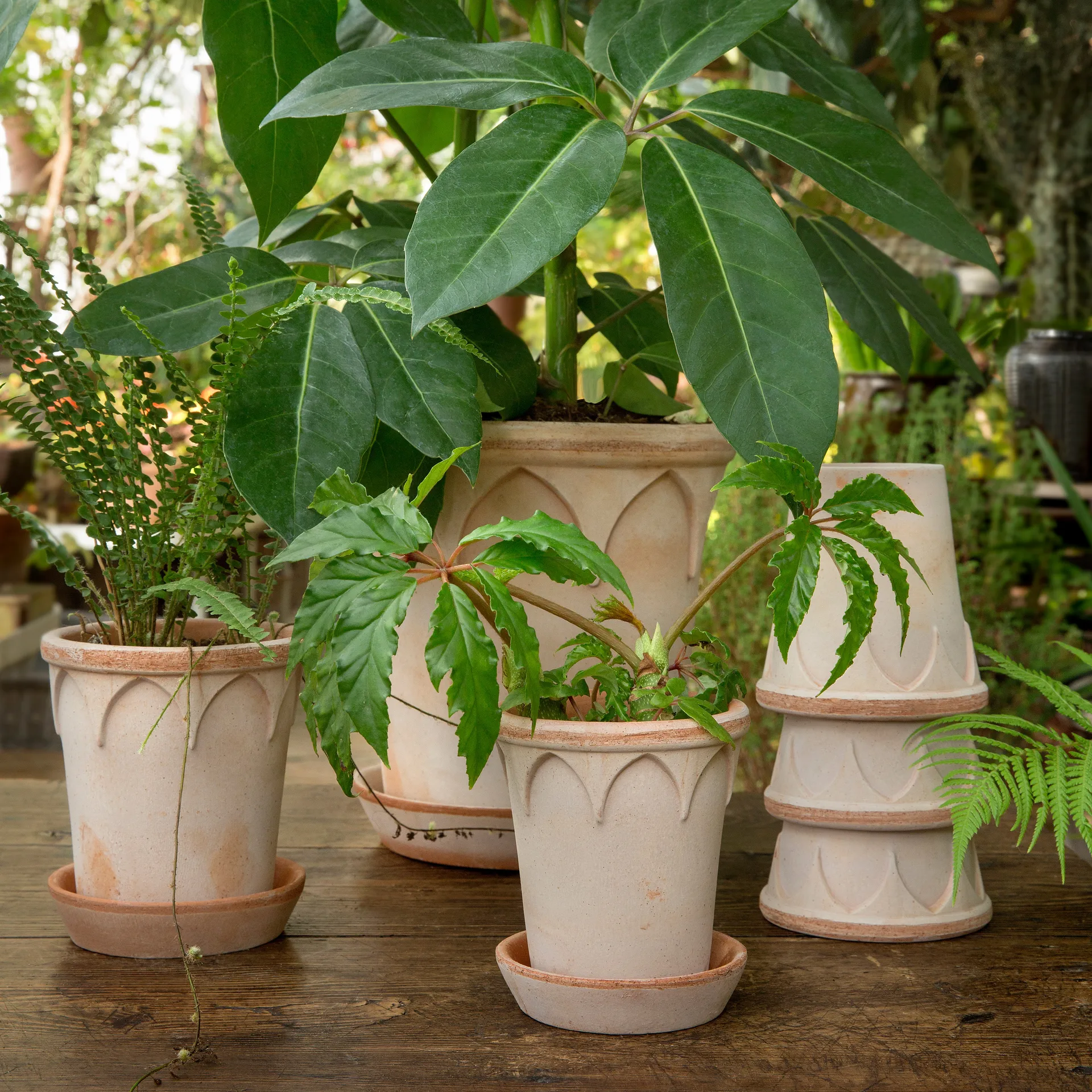 Maceta Elizabeth Ø14 cm, Rose Bergs Potter