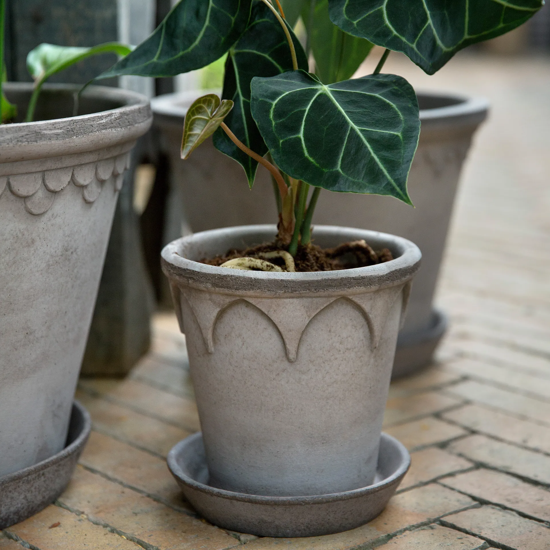 Maceta Elizabeth Ø16 cm, Grey Bergs Potter