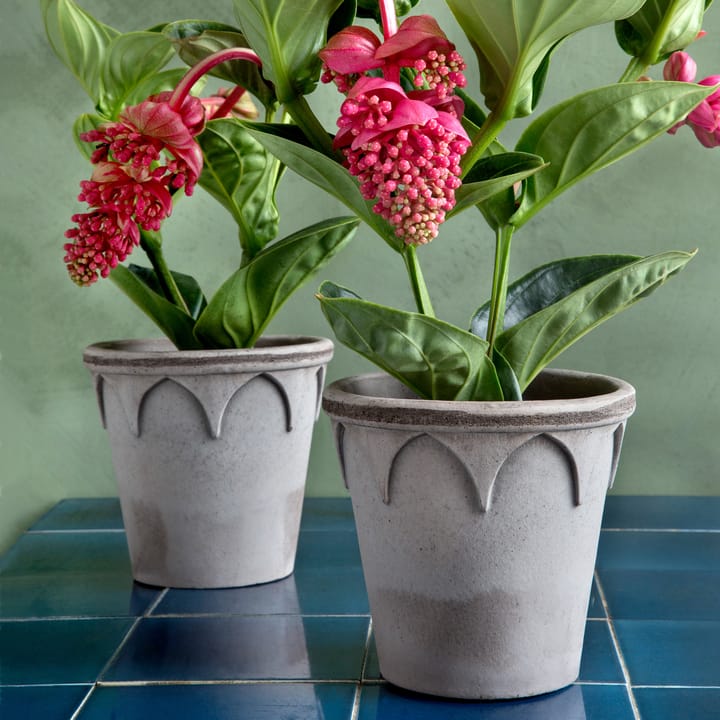 Maceta Elizabeth Ø16 cm, Grey Bergs Potter