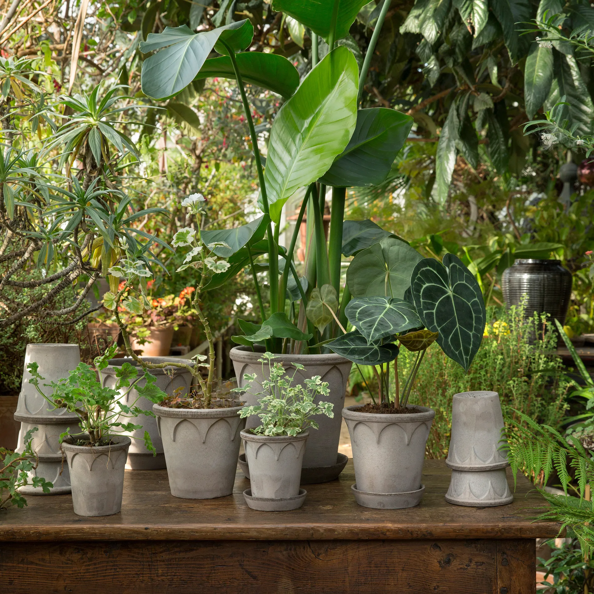 Maceta Elizabeth Ø16 cm, Grey Bergs Potter