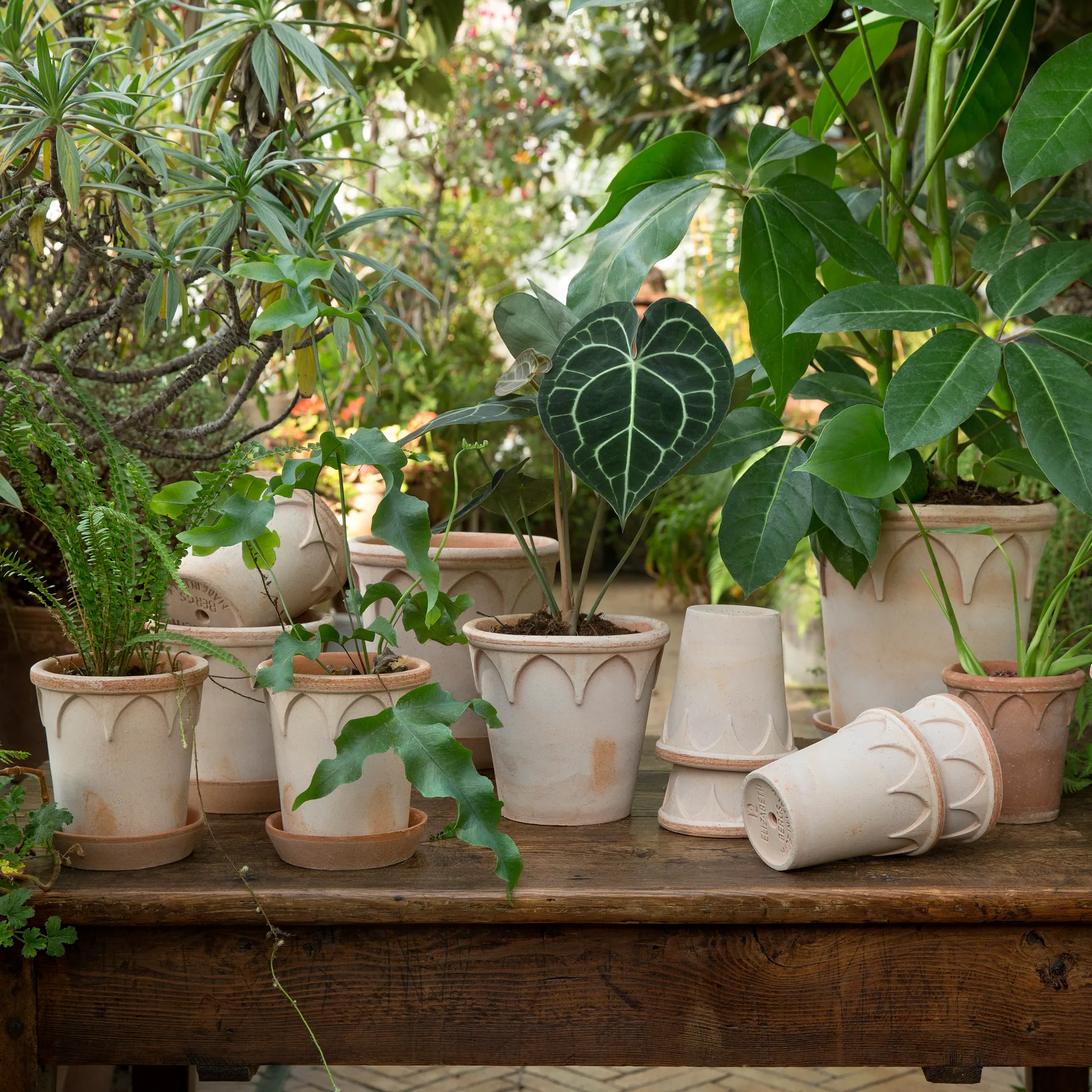 Maceta Elizabeth Ø18 cm, Rose Bergs Potter